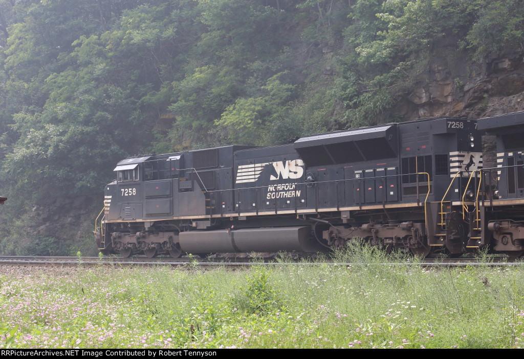 NS 7258